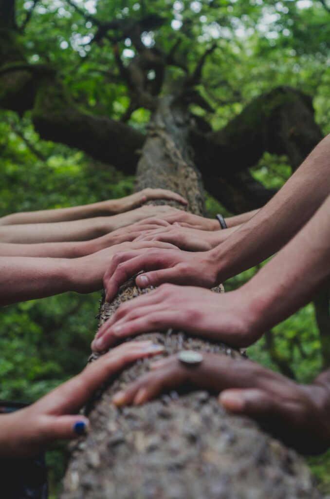 picture of hands on a tree - taken by shane rounce-unsplash