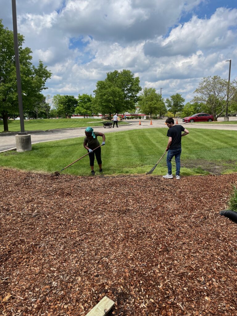 Spreading mulch