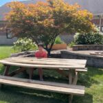 Student sitting on newly refurbished picnic table bench